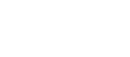 Business And Technology Consulting | Newton Vision Corporation